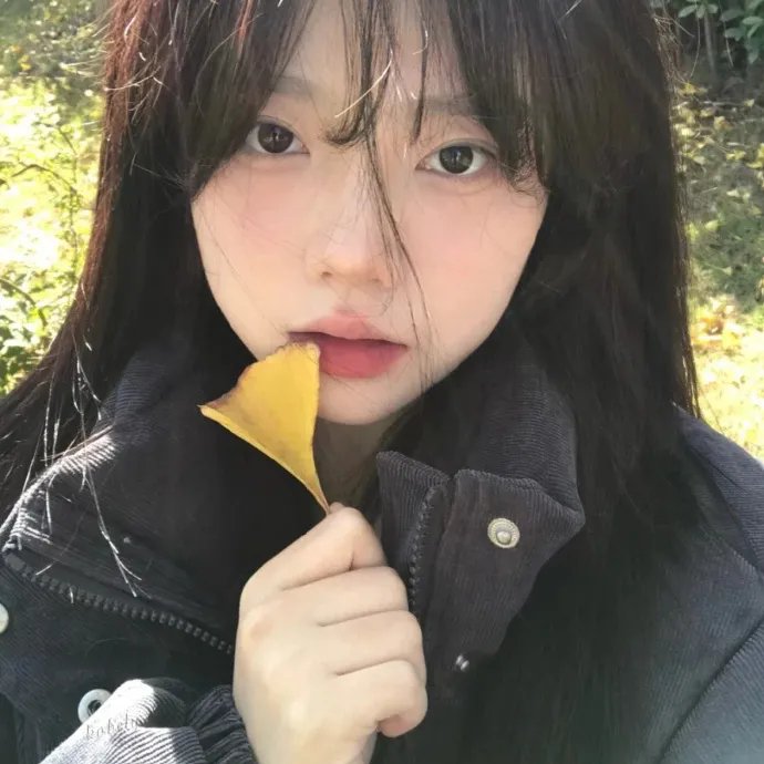 纽约二日情